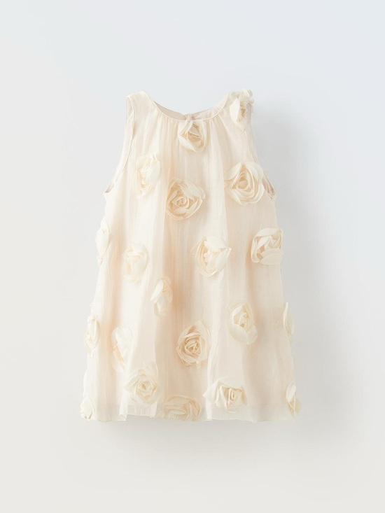 Zara Other - Zara 3D Floral Dress